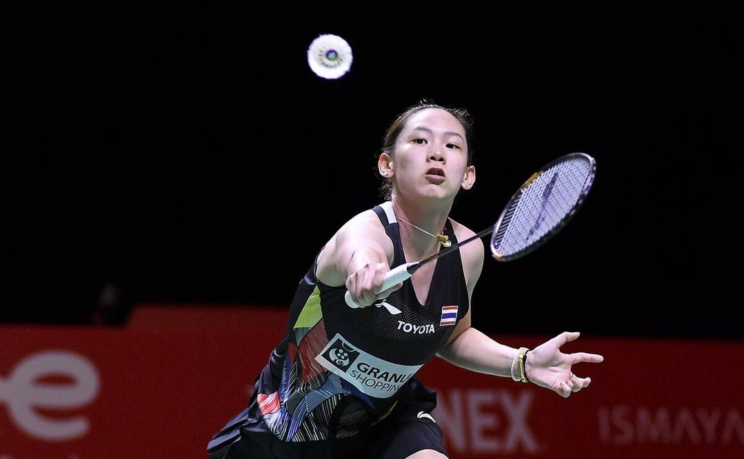 体育美网焦 体育美网焦